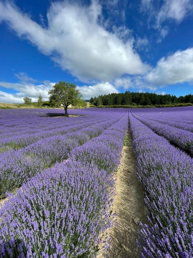 A Mont Nos Hotes 2 Mollans-sur-Ouveze Bagian luar foto